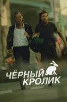 Чёрный кролик (2025) смотреть онлайн бесплатно